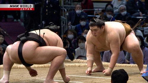 GRAND SUMO Highlights Season 14 Episode 11 - Day 11