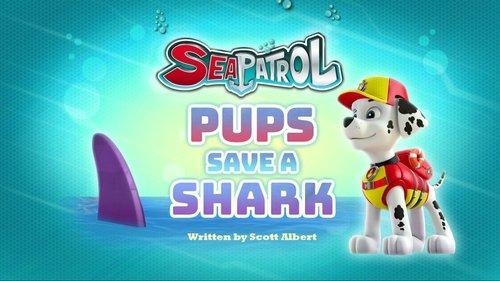 PAW Patrol Season 4 Episode 24 - Sea Patrol: Pups Save a Shark