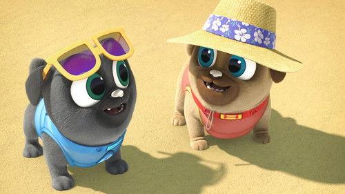 Puppy Dog Pals Season 5 Episode 14 - Runaway Runway