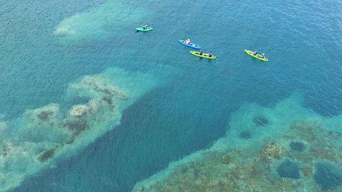 Wild Hokkaido! Season 4 Episode 15 - Shakotan Peninsula