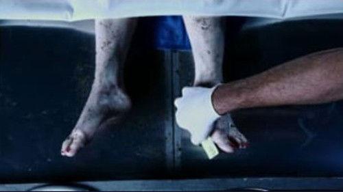 Blood Relatives Season 1 Episode 5 - The Deep End