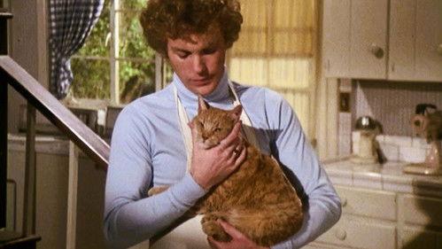 Family Season 4 Episode 12 - Malicious Mischief