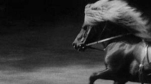 Poly Season 6 Episode 3 - Episode 3