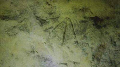 The Curse of Oak Island Season 11 Episode 23 - Cone E Island