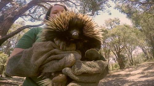 72 Cutest Animals Season 1 Episode 3 - Kicked-Back Cats