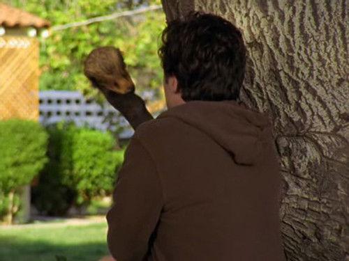 Scrubs Season 5 Episode 8 - My Big Bird