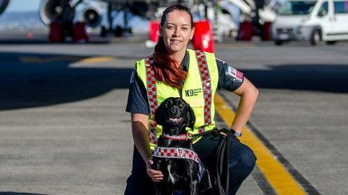 Dog Squad Puppy School Season 2 Episode 7 - Episode 7