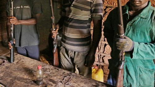 Black Market: Dispatches Season 1 Episode 5 - Poaching Pangolin