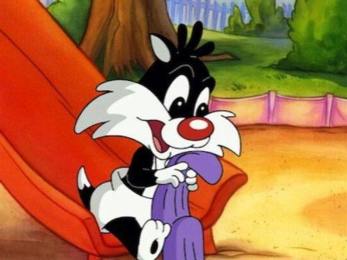 Baby Looney Tunes Season 1 Episode 3 - Comfort Level