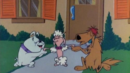 The Atom Ant Show Season 1 Episode 23 - Poodle Pandemonium