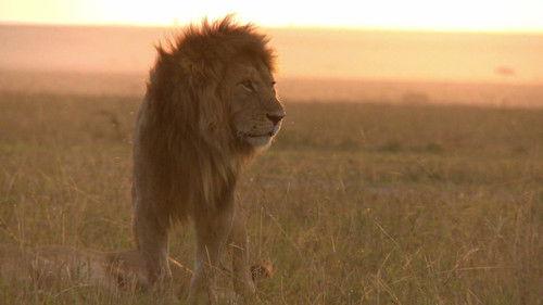 Dyrepasserne Season 2 Episode 8 - Program 8