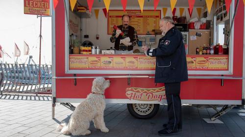 Großstadtrevier Season 35 Episode 13 - Episode 13