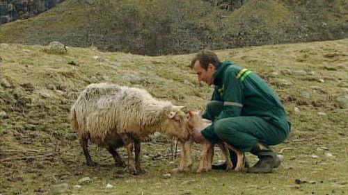 Der ingen skulle tru at nokon kunne bu Season 1 Episode 6 - Innstengt Gård Mellom Brattfjell