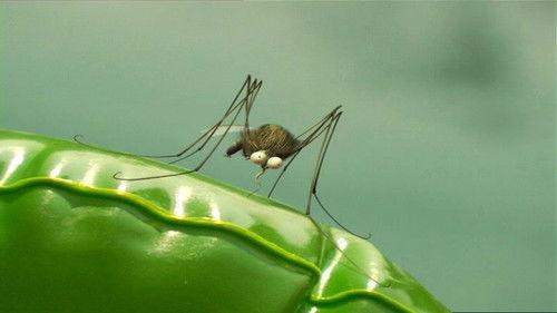 Minuscule: The Private Life of Insects Season 1 Episode 57 - Torpedo