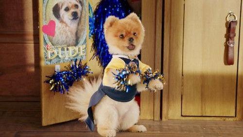 Pup Academy Season 1 Episode 4 - My Uncle Is Dude