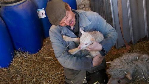 Frank & Kastaniegaarden Season 29 Episode 9 - Episode 9