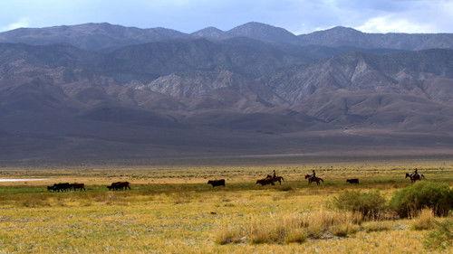 60 Minutes Season 54 Episode 4 - 10/10/2021: Deepfakes, A Thousand Children, Deep Springs