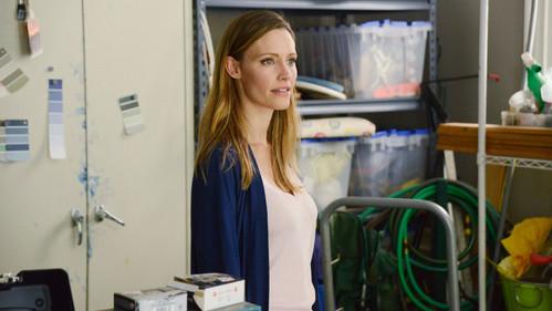 Secrets and Lies Season 1 Episode 3 - The Affair