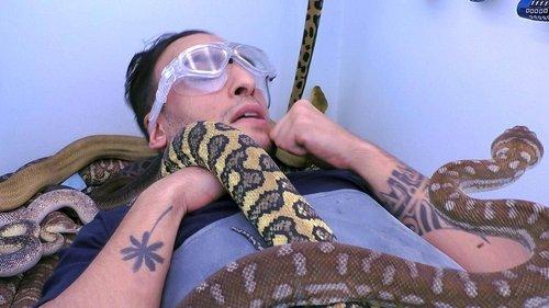 Ich bin ein Star – Holt mich hier raus! Season 18 Episode 15 - Episode 15