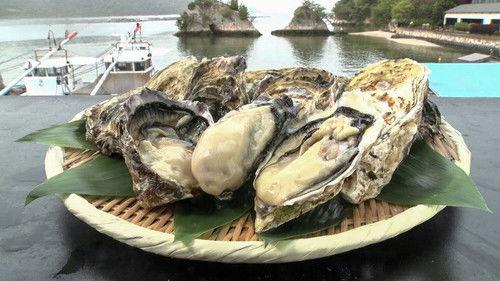 Trails to Oishii Tokyo Season 6 Episode 10 - SPRING OYSTERS