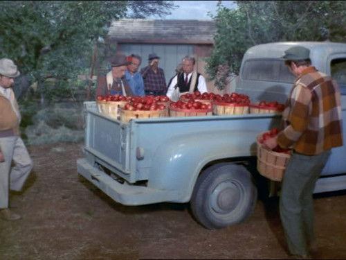 Green Acres Season 6 Episode 8 - Apple-Picking Time