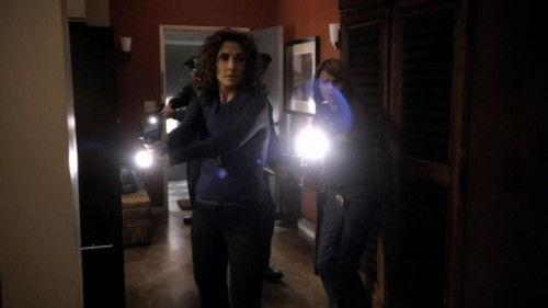 CSI: NY Season 6 Episode 12 - Criminal Justice