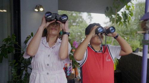 Gardening Australia Junior Season 1 Episode 7 - Bird's Nest Shop