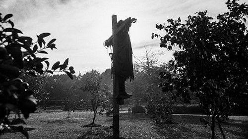 The Brokenwood Mysteries Season 4 Episode 3 - The Scarecrow