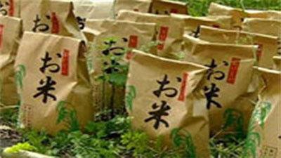 Wie is de Mol? Season 10 Episode 4 - Tests and bags