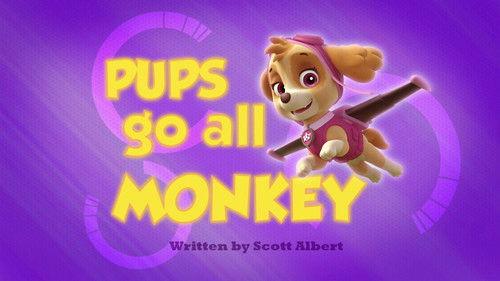 undefined Season 1 Episode 35 - Pups Go All Monkey
