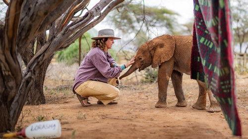 Becoming Elephant: The Orphans Of Reteti Season 1 Episode 1 - First Steps