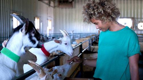 De par chez nous Season 3 Episode 4 - Episode 4