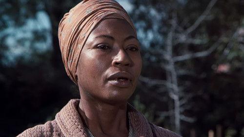 The Waltons Season 1 Episode 21 - The Scholar