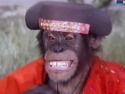 Daktari Season 3 Episode 6 - The Scent of Fear