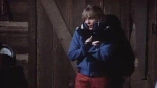 Newhart Season 2 Episode 7 - Lady & the Tramps