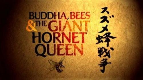 Natural World Season 26 Episode 4 - Buddha, Bees and the Giant Hornet Queen