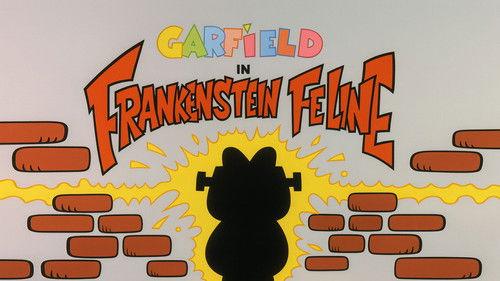 Garfield and Friends Season 4 Episode 13 - Frankenstein Feline