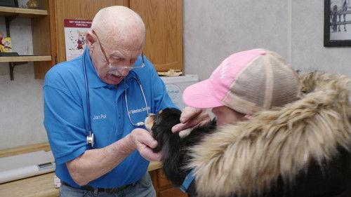 The Incredible Dr. Pol Season 23 Episode 9 - The Circle of Pol