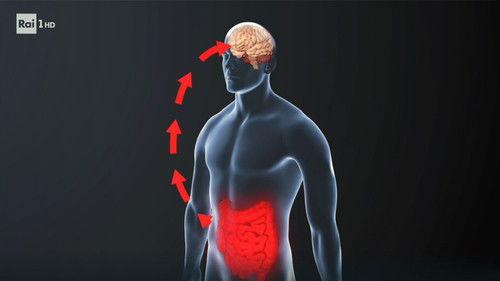 Superquark Season 25 Episode 3 - Xylella, the brain-gut link, and private astronauts