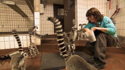 Dyrepasserne Season 6 Episode 10 - Episode 10