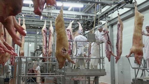 Salvados Season 13 Episode 9 - Episode 9