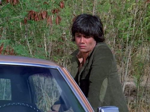 Hawaii Five-O Season 12 Episode 9 - Voice Of Terror