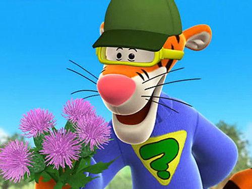 My Friends Tigger & Pooh Season 1 Episode 24 - Tigger's Delivery Service