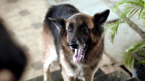 Pushpavalli Season 1 Episode 7 - Finding Dukie