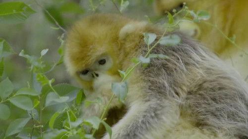 Unexplored Land Season 1 Episode 1 - Episode 1