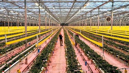 Countryfile Season 35 Episode 12 - Melton Mowbray