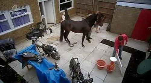 Shameless Season 4 Episode 2 - Episode 2