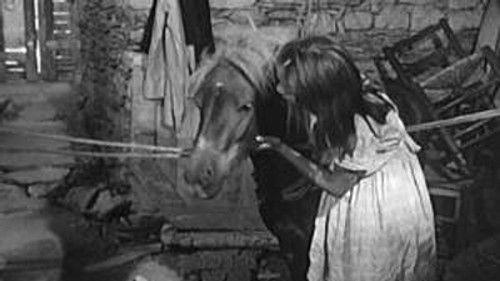 Poly Season 3 Episode 11 - Episode 11