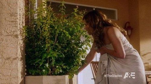 The Glades Season 3 Episode 4 - The Naked Truth