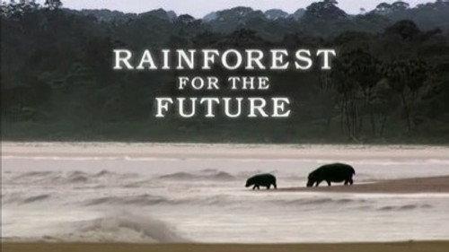 Natural World Season 26 Episode 10 - Gabon - Forests of the Future